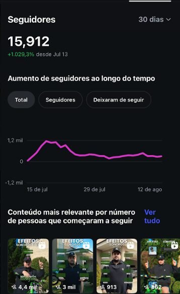 Métricas reais do perfil do Fernando: 15.912 novos seguidores em 30 dias, +1.029,3% desde 13 de julho